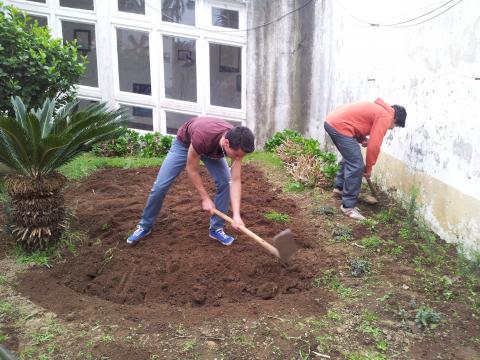 Os alunos preparam a terra para receber a sementeira e retiram ervas daninhas.